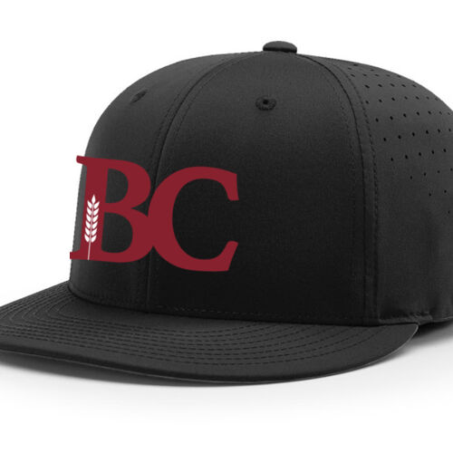 E1 - Richardson PTS30 Adult Team Performance Series Lite Cap Thumbnail